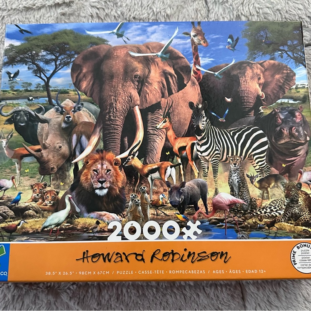 2000 Piece Puzzle